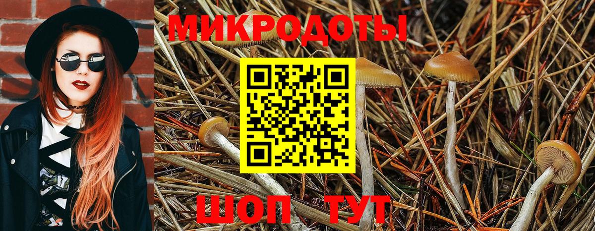 Иваново  Галлюциногенные грибы Magic Shrooms  купить наркотики цена  Вход с VPN 